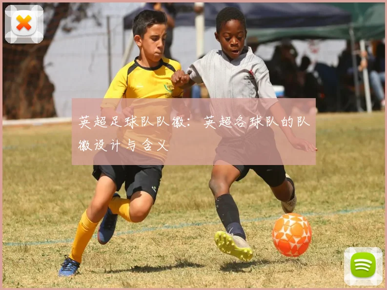 英超足球队队徽：英超各球队的队徽设计与含义
