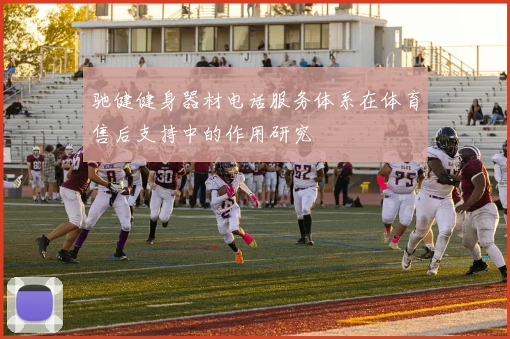 驰健健身器材电话服务体系在体育售后支持中的作用研究