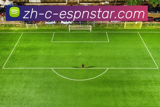 五大联赛直播平台生态图